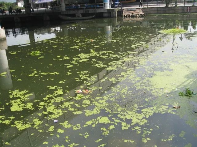 城市黑臭河道如何治理？河道黑臭水體治理思路