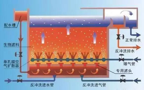 曝氣池和曝氣生物濾池有什么區別