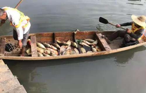 廣州旺旺食品廢水直排，永和河大量魚類死亡