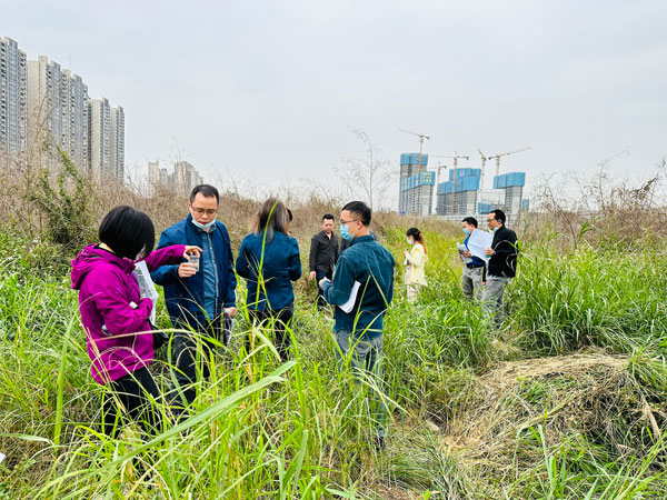 樂從小布村原鋼鐵市場(chǎng)一地塊通過專家評(píng)審